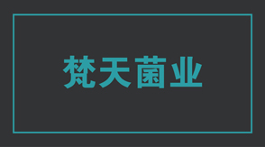 食品行业湘潭冲锋衣设计款式